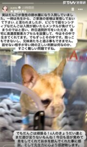 濱崎步最親密家人急性肺水腫住院！醫生下病危通知　天后家裝氧氣艙續命