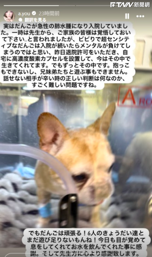 濱崎步最親密家人急性肺水腫住院！醫生下病危通知　天后家裝氧氣艙續命