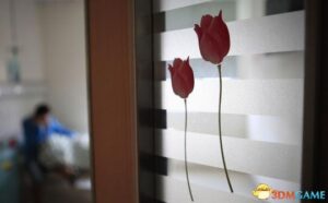 东莞少女遭性侵怀孕 自称被侵犯时玩游戏没在意