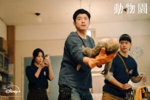 壽山動物園大象阿里猝逝　邵雨薇、李淳曾拍對手戲「很難過」