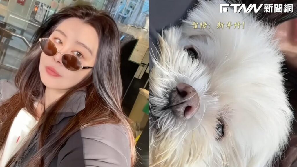 12秒片爆近19萬讚！王祖賢開工早餐影片超吸睛　抱愛犬「智悟」萌翻粉絲